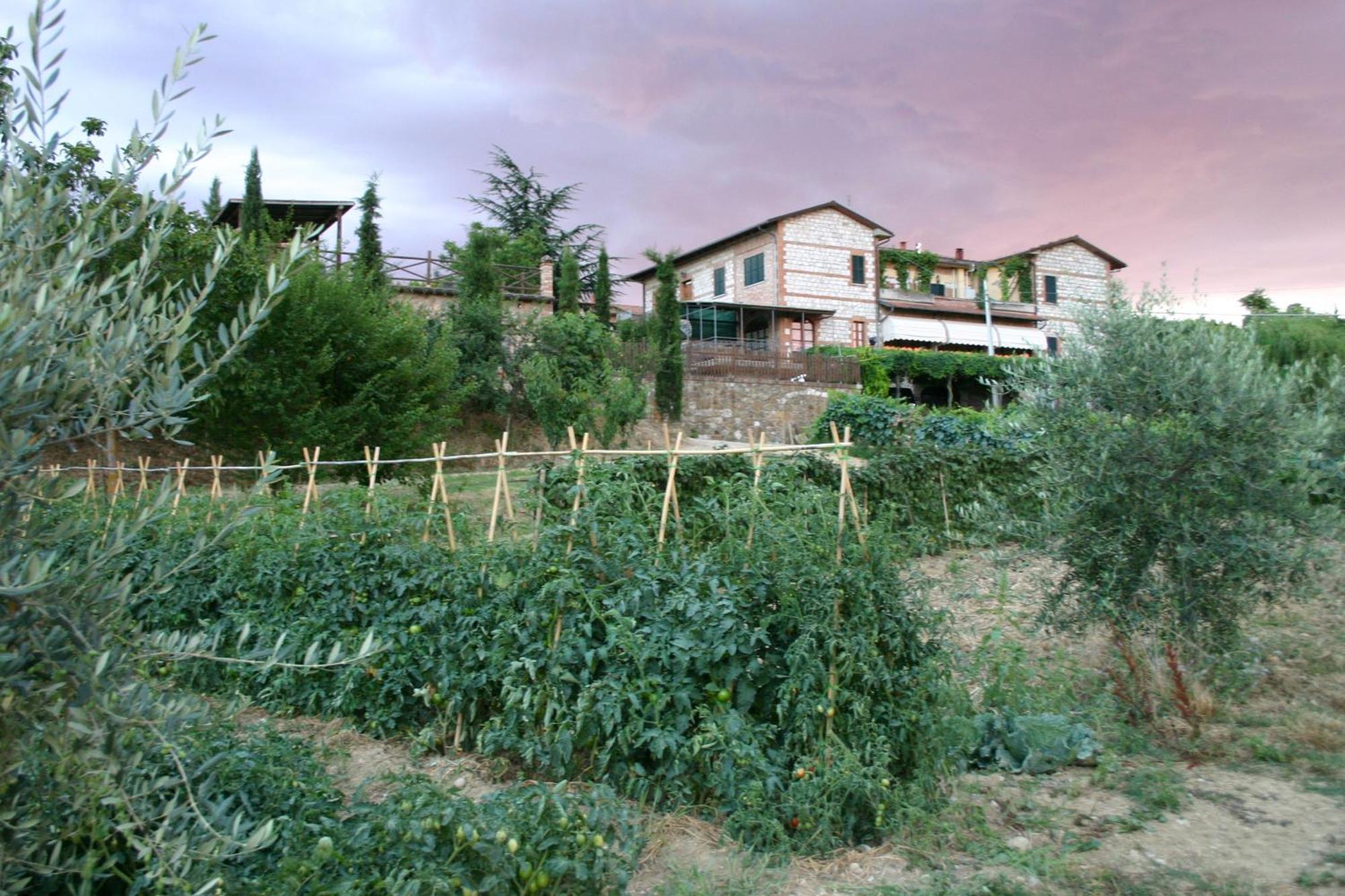 Agriturismo La Pietriccia Chianciano Terme Εξωτερικό φωτογραφία