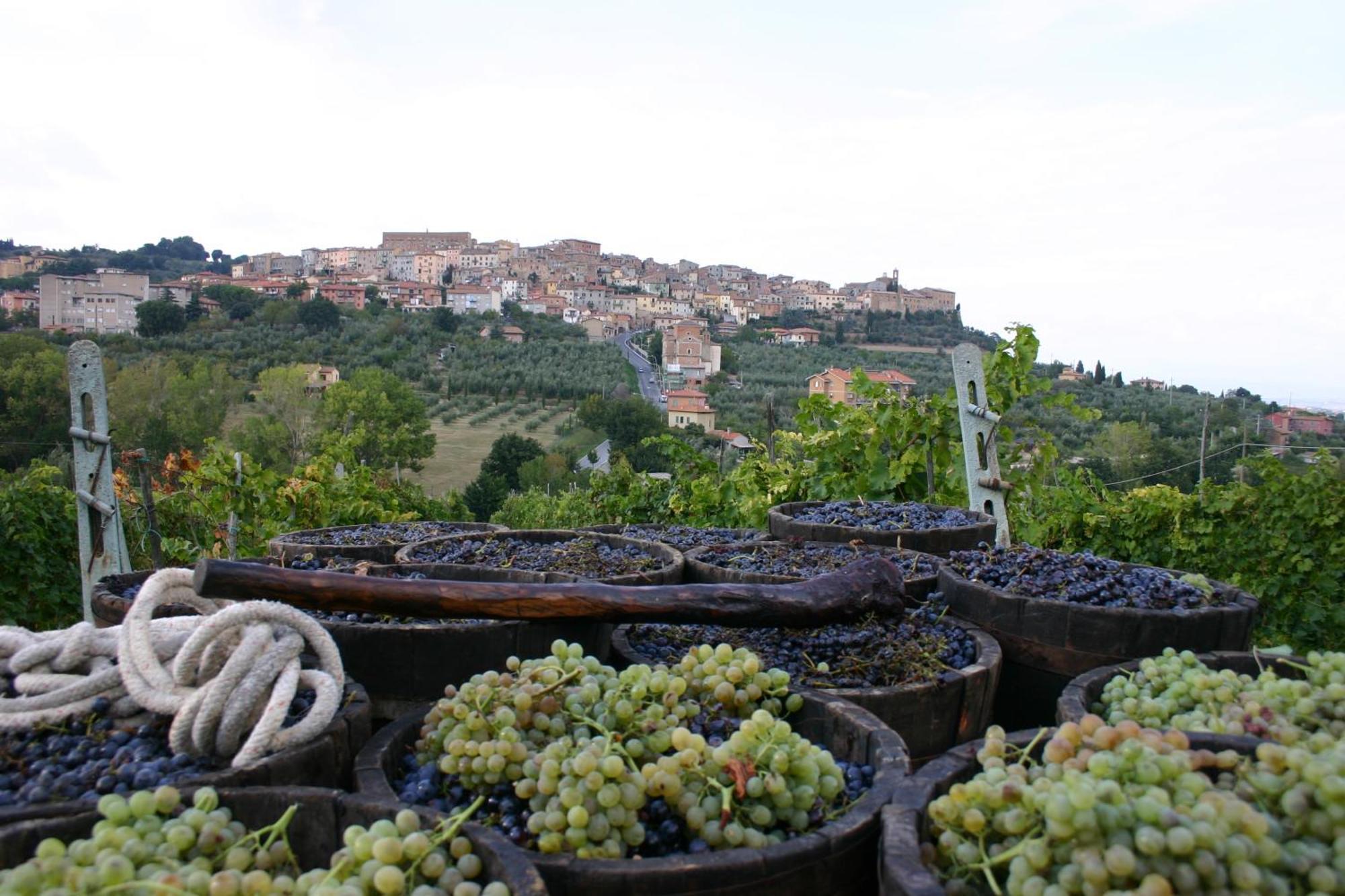 Agriturismo La Pietriccia Chianciano Terme Εξωτερικό φωτογραφία