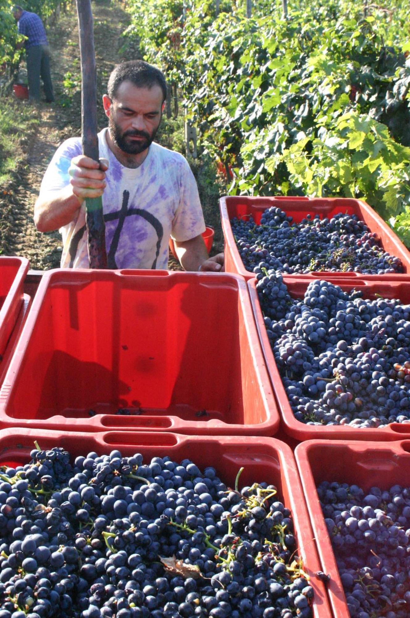 Agriturismo La Pietriccia Chianciano Terme Εξωτερικό φωτογραφία