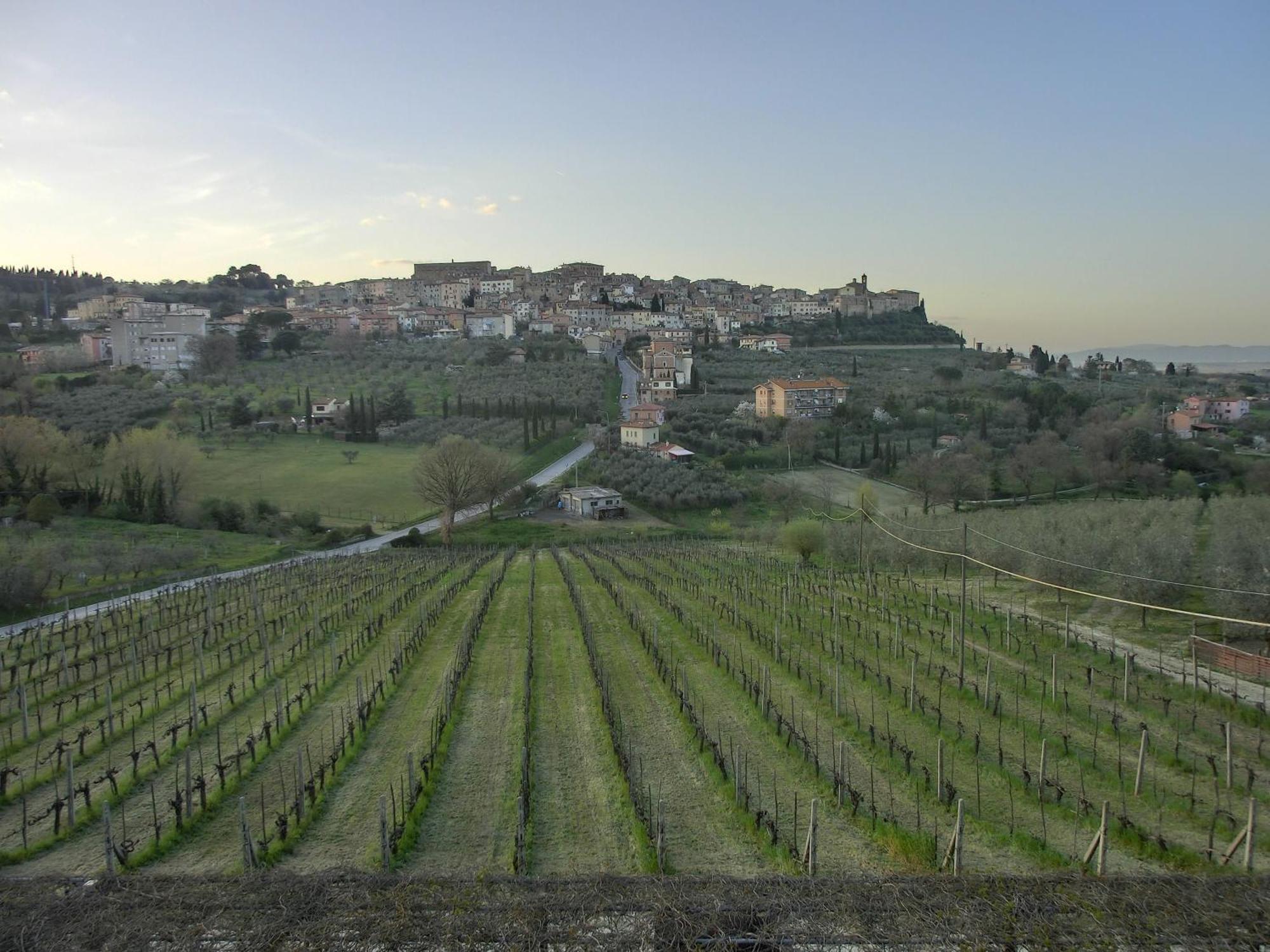 Agriturismo La Pietriccia Chianciano Terme Εξωτερικό φωτογραφία