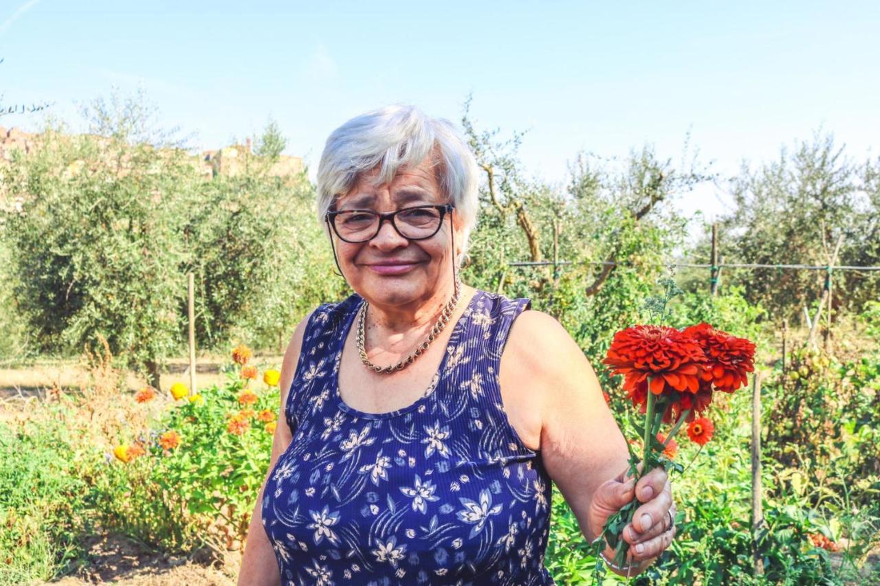 Agriturismo La Pietriccia Chianciano Terme Εξωτερικό φωτογραφία